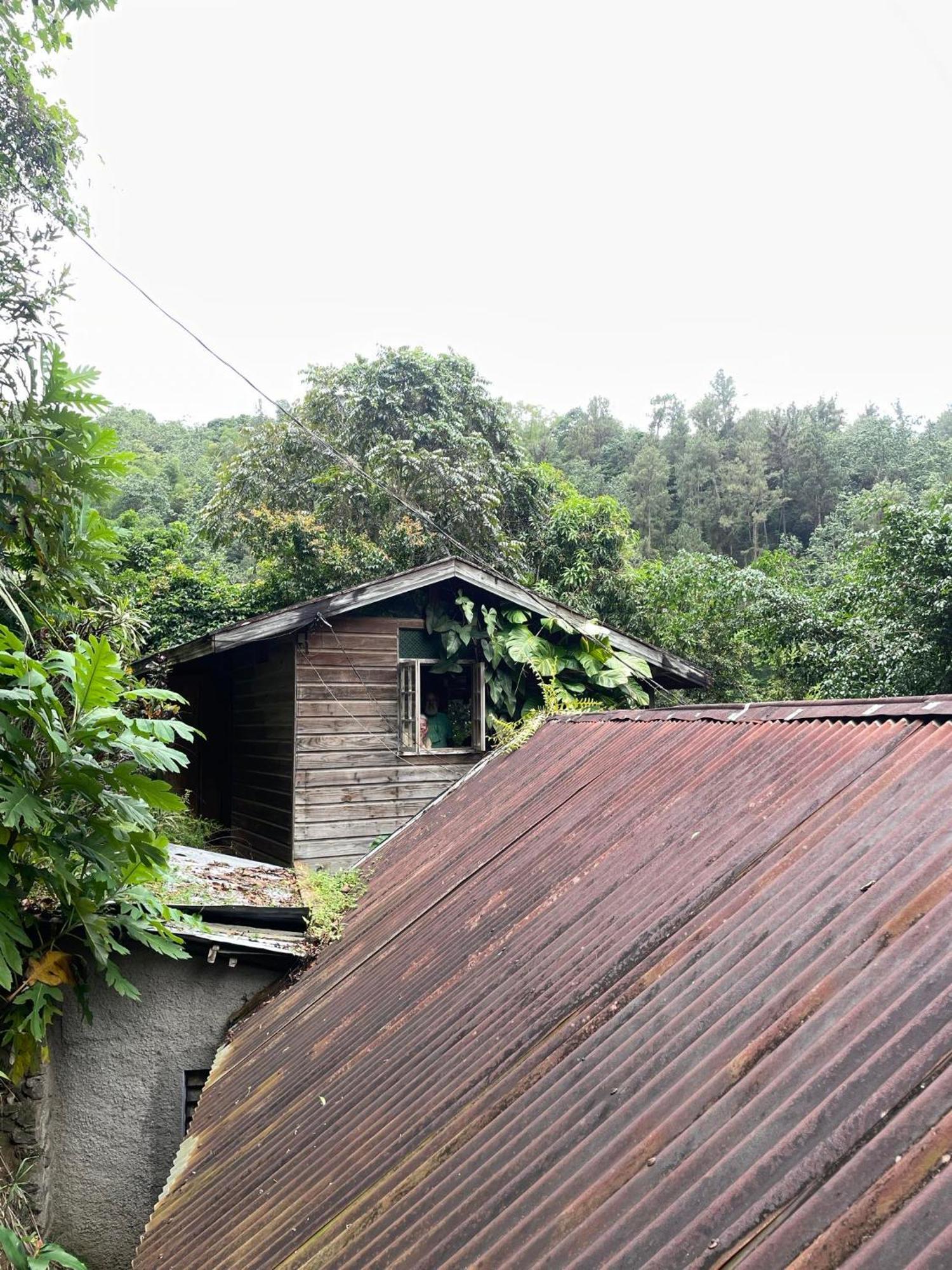 Dustry Cottages 金斯敦 外观 照片